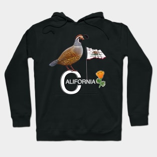 California quail state bird Californian poppy flowers Hoodie